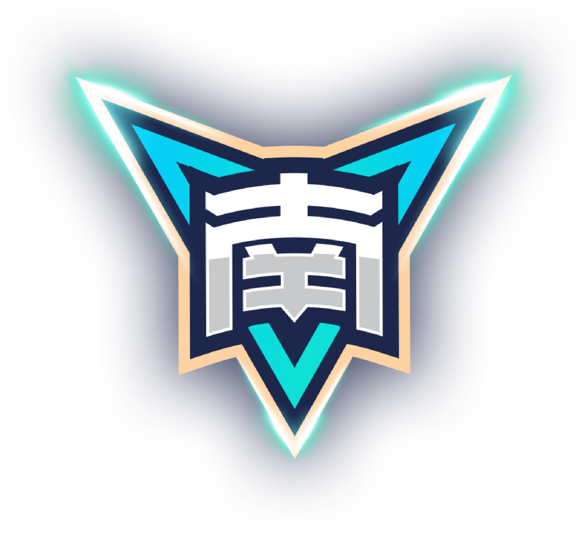 瓦伦西亚